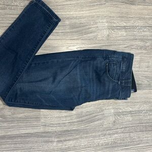 Democracy Dark Wash Skinny Jeans